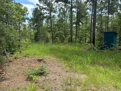 90 Acres located in Pineland, TX on beautiful Lake Sam Rayburn! - photo 10