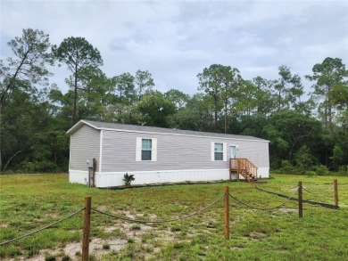 Lake Home For Sale in Fort Mccoy, Florida