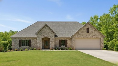 Willastein Lake Home For Sale in Maumelle Arkansas