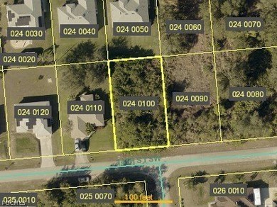 Lake Lot For Sale in Lehigh Acres, Florida