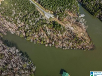 Lake Lot For Sale in Double Springs, Alabama