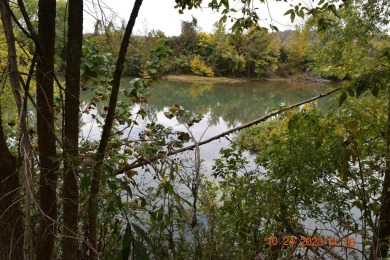 Lake Acreage For Sale in Williford, Arkansas