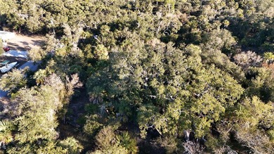 Vacant 0.23-acre residential lot located in North Port, FL. No - photo 11