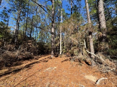 Lake Sam Rayburn  Lot For Sale in Brookeland Texas