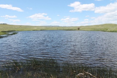 The Custer Legacy Ranch provides a rare combination to today's - photo 5
