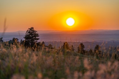 The Custer Legacy Ranch provides a rare combination to today's - photo 6