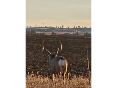 The Custer Legacy Ranch provides a rare combination to today's - photo 9