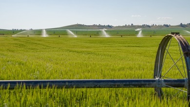 The Custer Legacy Ranch provides a rare combination to today's - photo 10