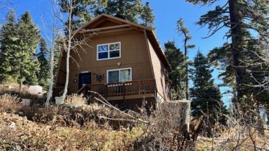 Navajo Lake Home For Sale in Duck Creek Village Utah