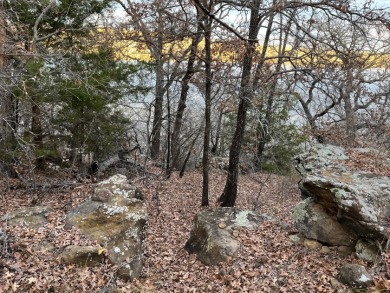 2 Waterfront Lots On Amon Carter Lake - photo 7