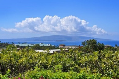 Welcome to Wailea Ekolu 105. Easy access to this beautifully - photo 3