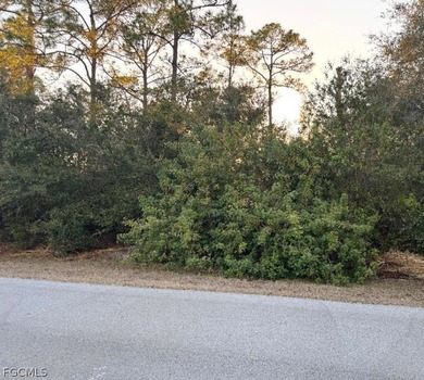 Lehigh Acres Area Lot For Sale in Lehigh Acres Florida