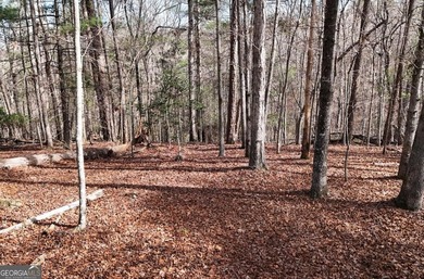 7 Gorgeous wooded acres in scenic Habersham County, GA - photo 11