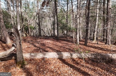 7 Gorgeous wooded acres in scenic Habersham County, GA - photo 12