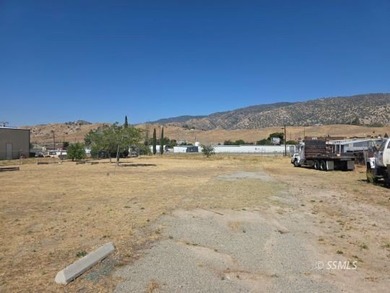 Unlock the potential of this 1.24-acre commercial lot in Lake - photo 2