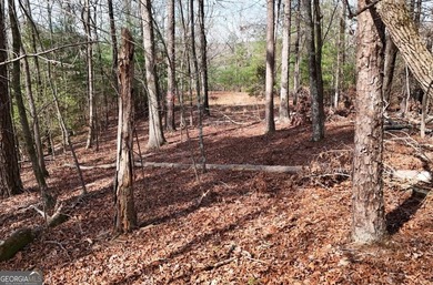 7 Gorgeous wooded acres in scenic Habersham County, GA - photo 13