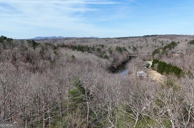 7 Gorgeous wooded acres in scenic Habersham County, GA - photo 14
