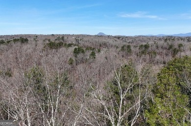 7 Gorgeous wooded acres in scenic Habersham County, GA - photo 15