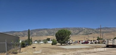 Unlock the potential of this 1.24-acre commercial lot in Lake - photo 5