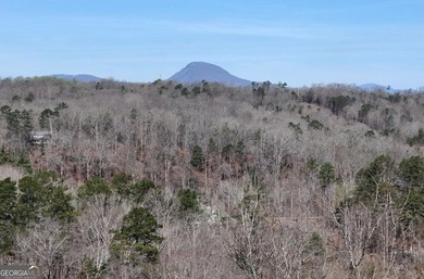 7 Gorgeous wooded acres in scenic Habersham County, GA - photo 16