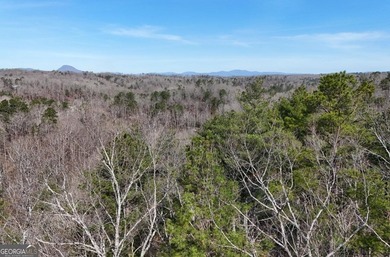 7 Gorgeous wooded acres in scenic Habersham County, GA - photo 17