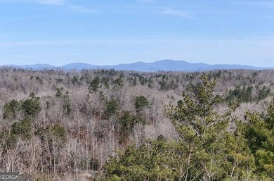 7 Gorgeous wooded acres in scenic Habersham County, GA - photo 18