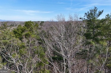 7 Gorgeous wooded acres in scenic Habersham County, GA - photo 19