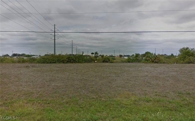 Build your dream home on this oversized .36-acre canal - photo 3