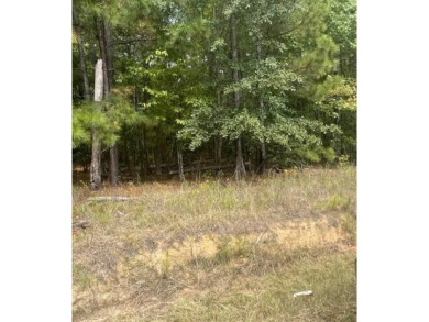 Looking for land away from the hustle & bustle?  This almost - Lake Lot For Sale in Lincolnton, Georgia