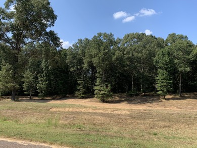 (private lake, pond, creek) Acreage For Sale in Hernando Mississippi