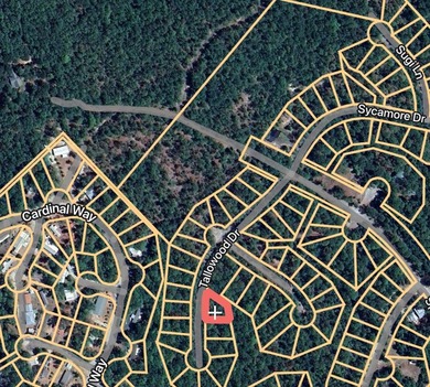 Lake Sam Rayburn  Lot For Sale in Brookeland Texas