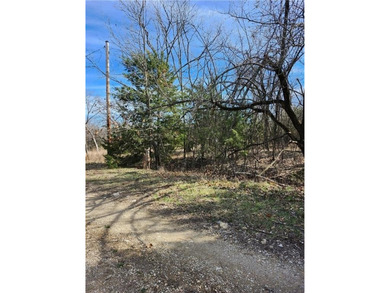 A stunning building lot with plenty of room to nestle a home - photo 2