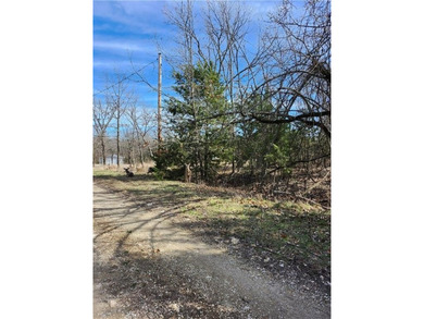 A stunning building lot with plenty of room to nestle a home - photo 4