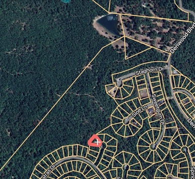 Lake Sam Rayburn  Lot For Sale in Brookeland Texas