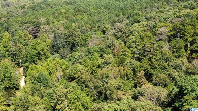 Discover 3.9 beautiful acres of flat, unrestricted land just .25 - photo 12