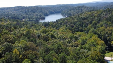 Discover 3.9 beautiful acres of flat, unrestricted land just .25 - photo 13
