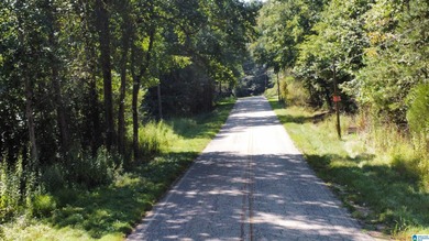 Discover 3.9 beautiful acres of flat, unrestricted land just .25 - photo 14
