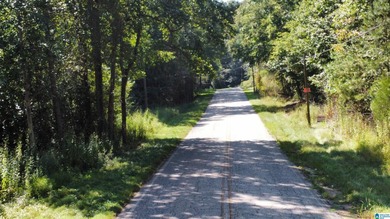 Discover 3.9 beautiful acres of flat, unrestricted land just .25 - photo 15