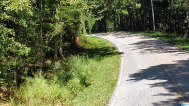 Discover 3.9 beautiful acres of flat, unrestricted land just .25 - photo 16