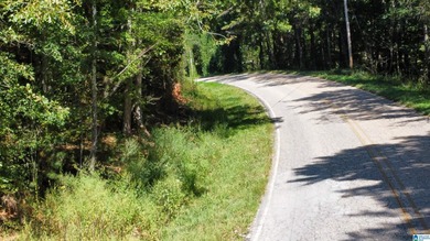 Discover 3.9 beautiful acres of flat, unrestricted land just .25 - photo 17