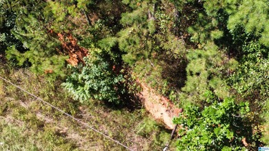 Discover 3.9 beautiful acres of flat, unrestricted land just .25 - photo 20