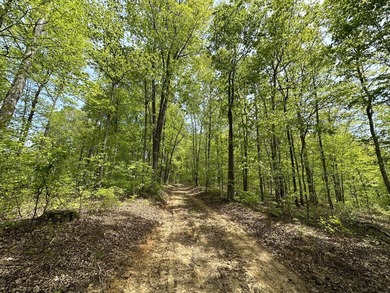Barren River Acreage For Sale in Bowling Green Kentucky