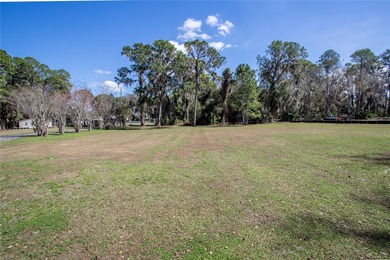 Land for Sale on Lake Harris -- the largest lake in the Chain of - photo 2