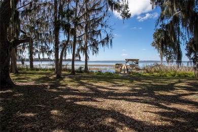 Land for Sale on Lake Harris -- the largest lake in the Chain of - photo 3