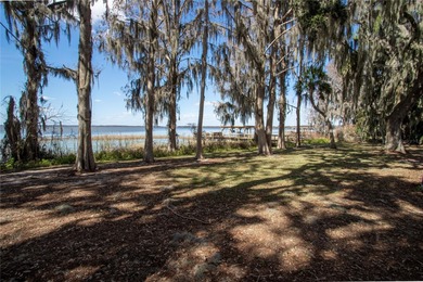 Land for Sale on Lake Harris -- the largest lake in the Chain of - photo 4