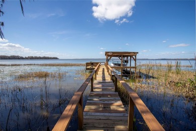 Land for Sale on Lake Harris -- the largest lake in the Chain of - photo 5