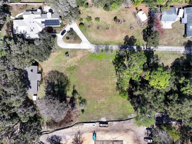 Land for Sale on Lake Harris -- the largest lake in the Chain of - photo 7