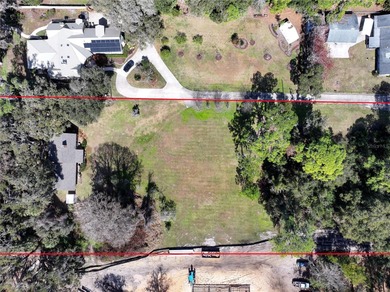 Land for Sale on Lake Harris -- the largest lake in the Chain of - photo 8