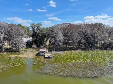 Land for Sale on Lake Harris -- the largest lake in the Chain of - photo 9
