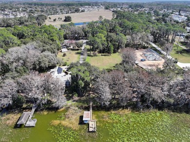 Land for Sale on Lake Harris -- the largest lake in the Chain of - photo 10